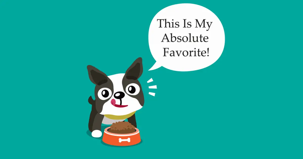 what is the best food for boston terriers