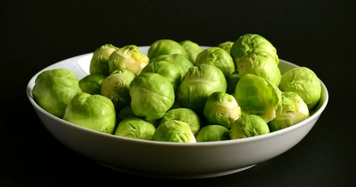 can dogs eat brussel sprouts raw