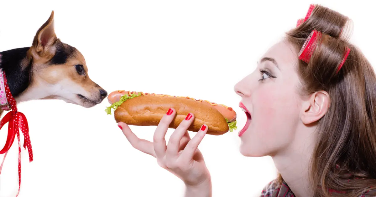 what happens if dog eats hot food