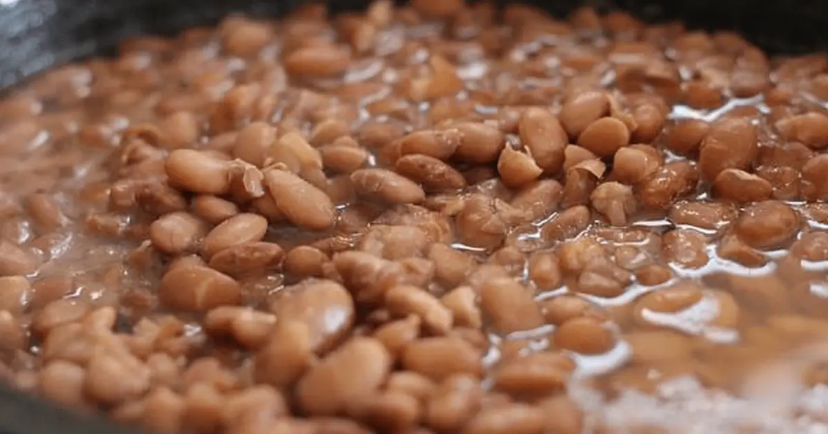 Can Dogs Safely Eat Pinto Beans? Here's How to Serve Them World Dog