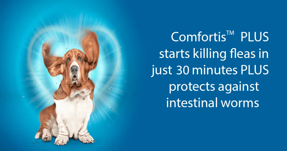 is-comfortis-for-dogs-safe-to-use