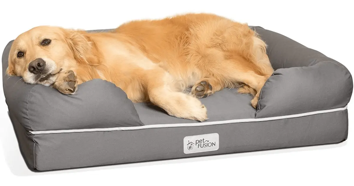 Waterproof Dog Bed - Why is it a Good Idea?