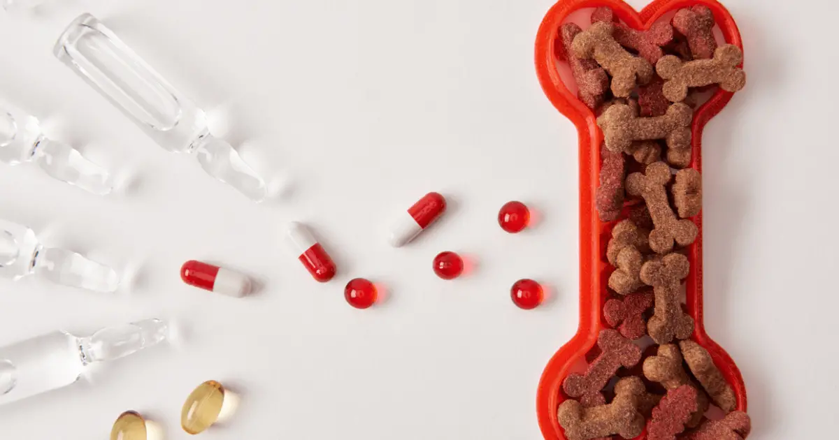 Dog Owner's Guide to Sedatives Usage, Safety & Precautions