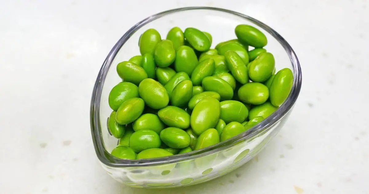 are edamame beans good for dogs