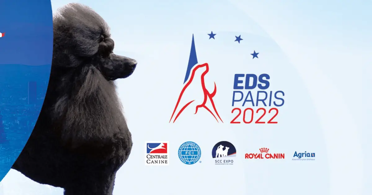 Euro Dog Show 2022 All You Need To Know