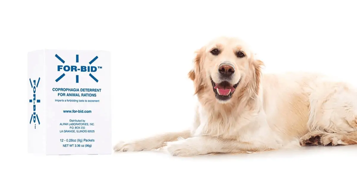 ForBid For Dogs Usage & Effectiveness