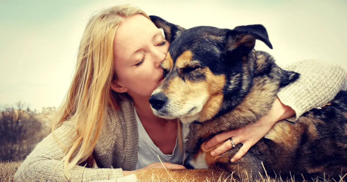 Why Do Dogs Like to be Petted?