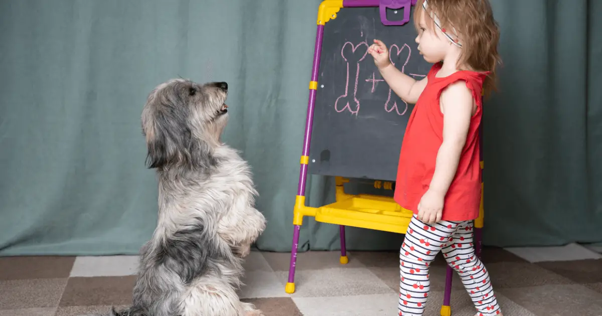 How to Teach a Dog to Sit [3 Easy Steps]