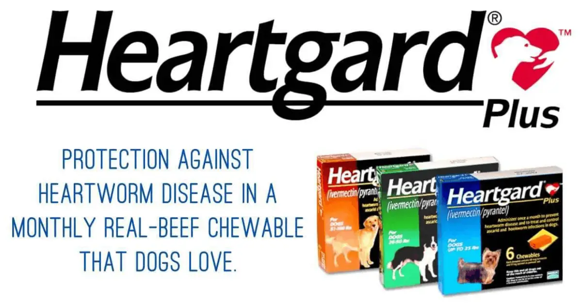 Is Heartgard for Dogs Safe