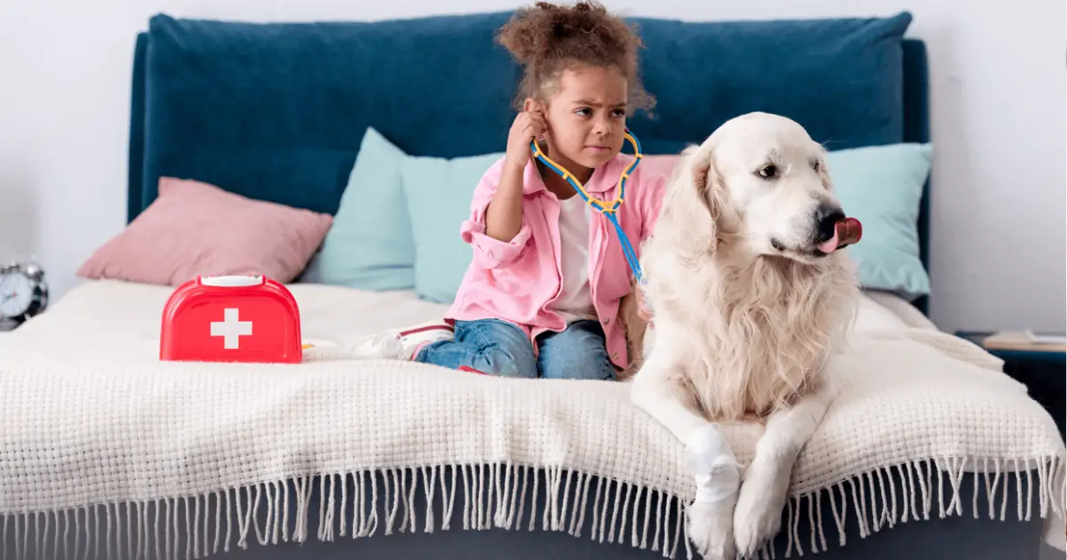 Can Dogs Fake Injury? World Dog Finder