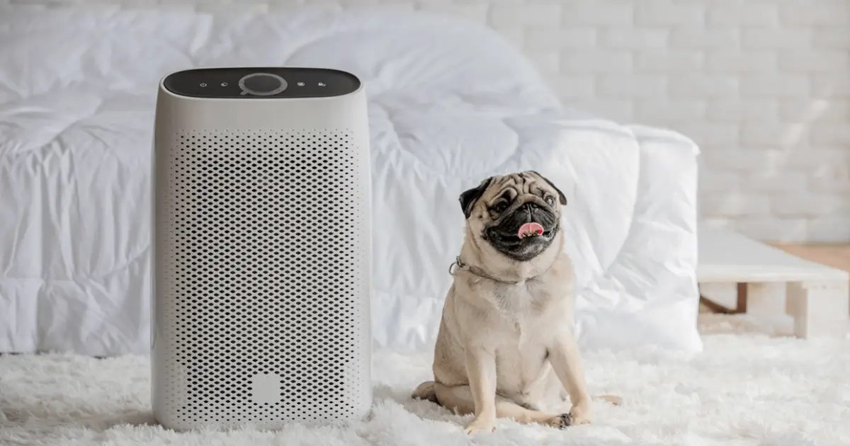 best air purifiers dogs