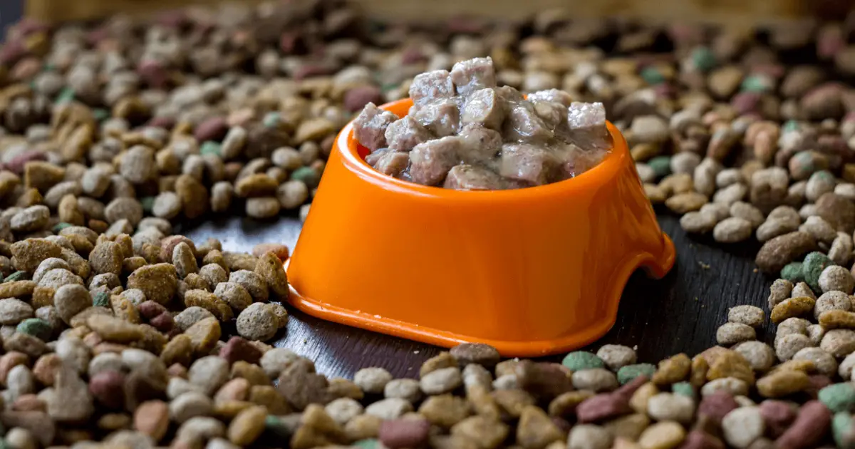Best Wet Dog Food [2023 Review]