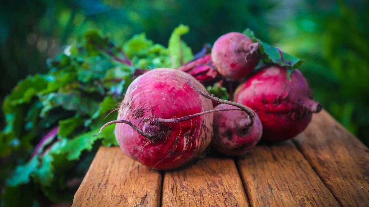 Are Beets Good For Dogs?