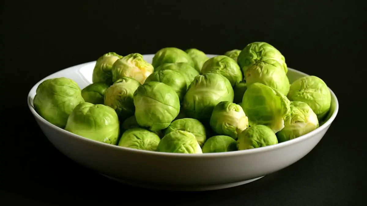 Can Dogs Eat Brussels Sprouts