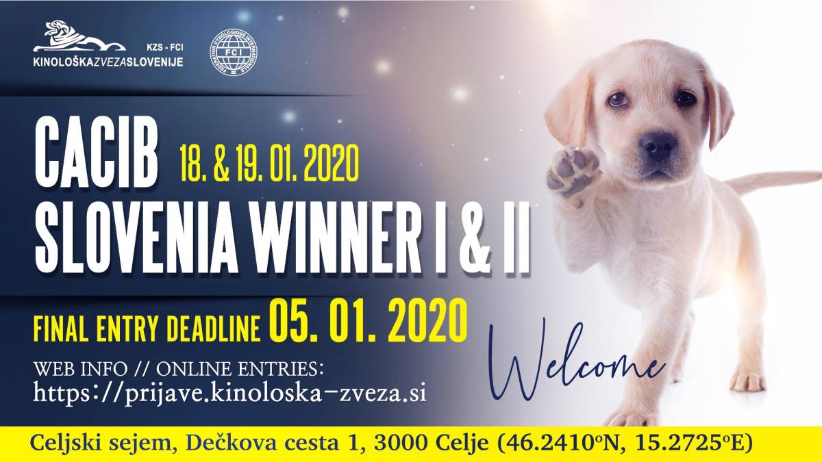 CACIB Slovenia Winner 2020