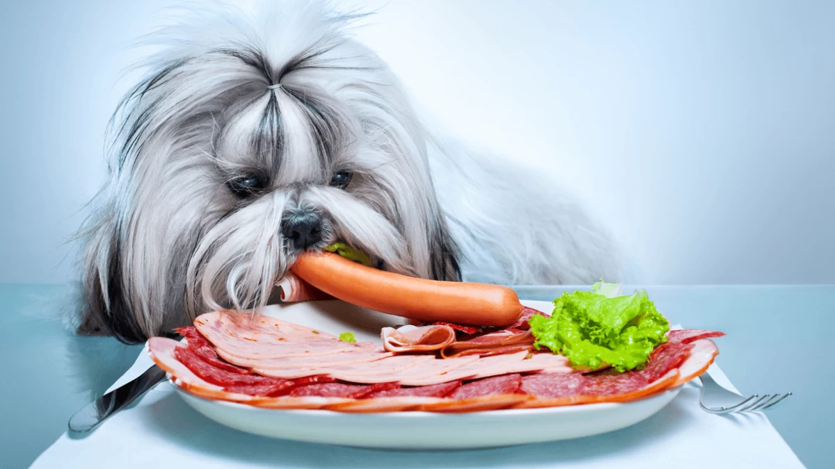 ¿Pueden los perros comer salchichas?