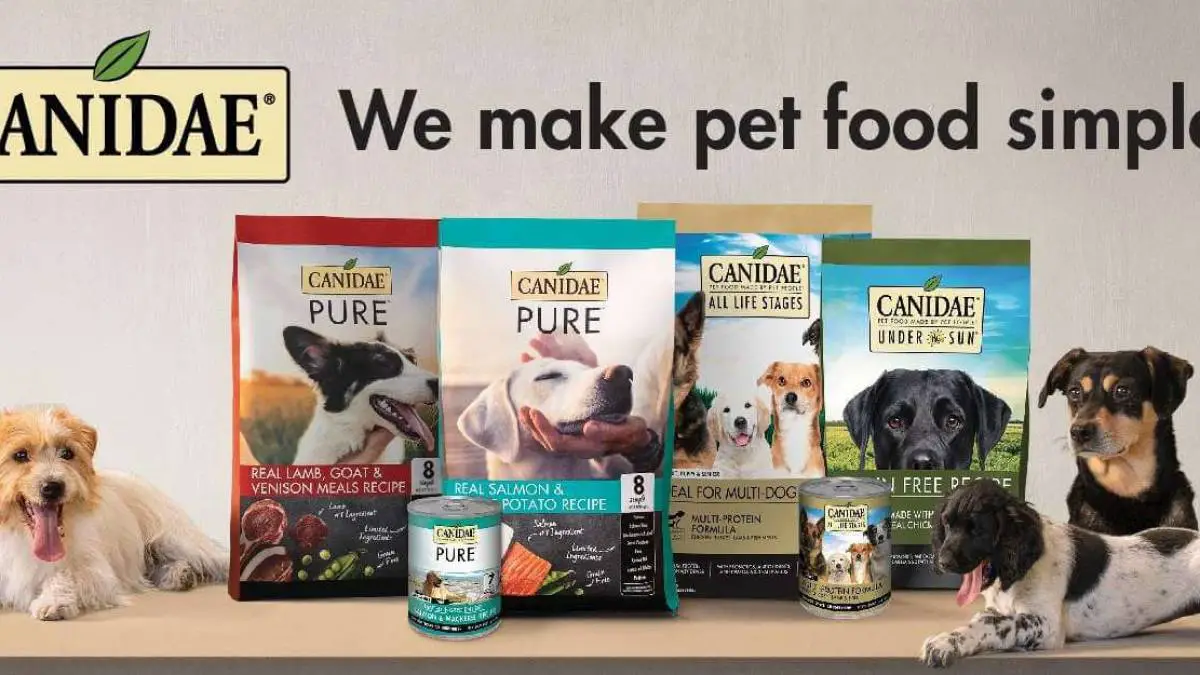 Canidae Dog Food Review [2023 Update]