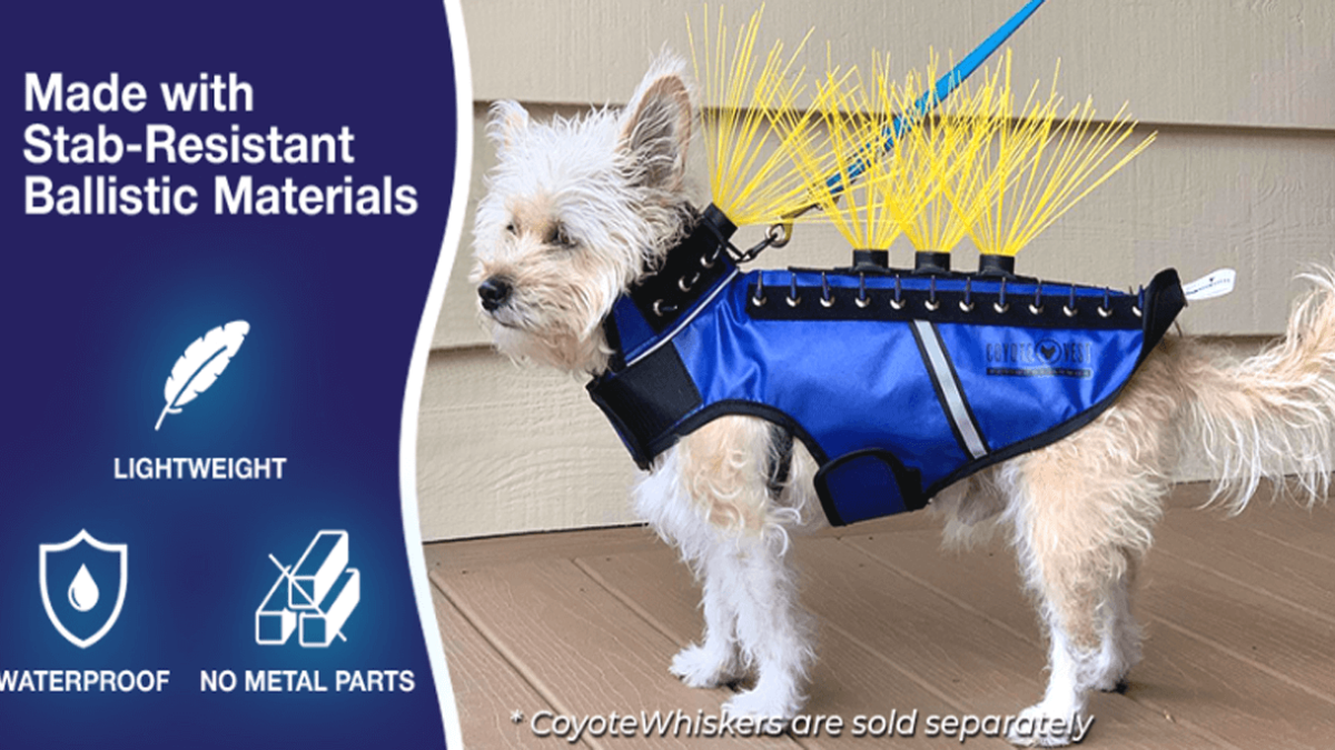 Anti coyote vest hot sale for dogs