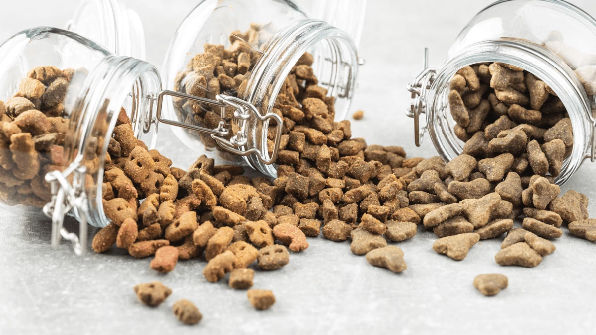 Best Dog Food Containers You Must Have In 2023