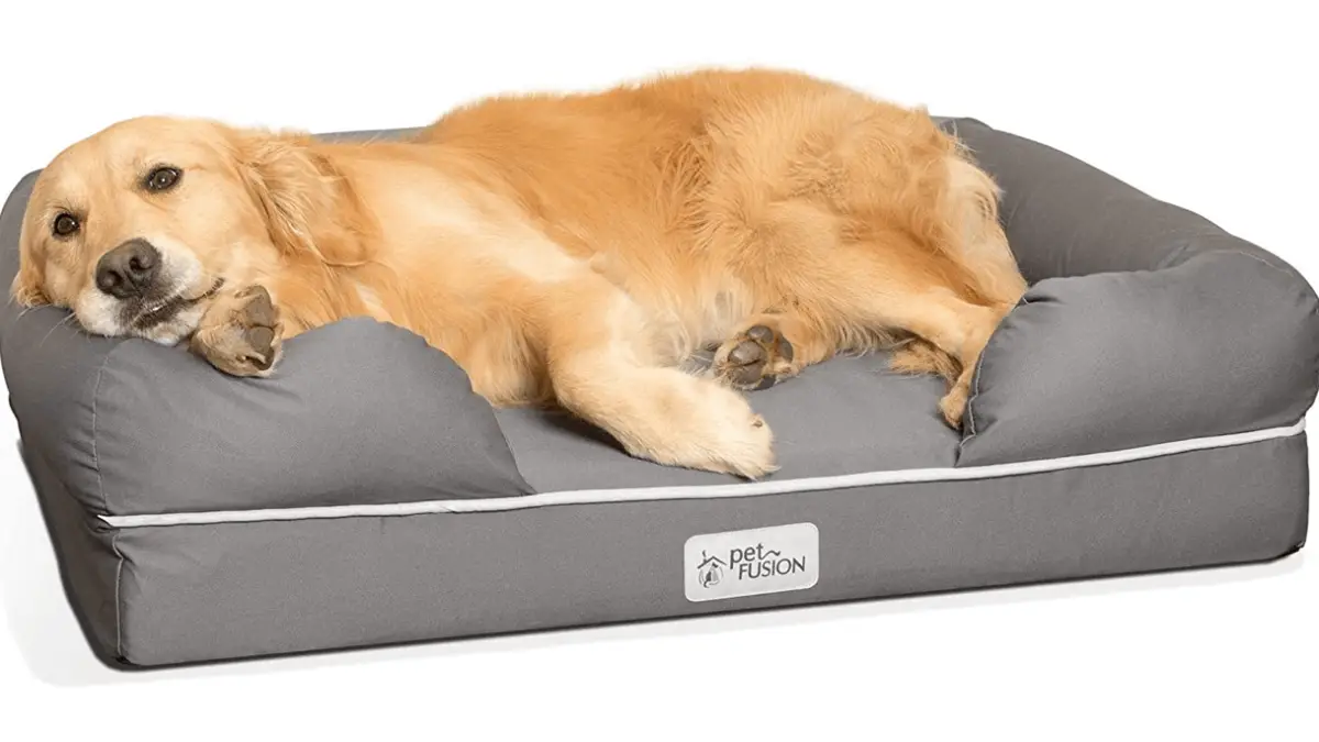 Waterproof Dog Bed - Why is it a Good Idea?
