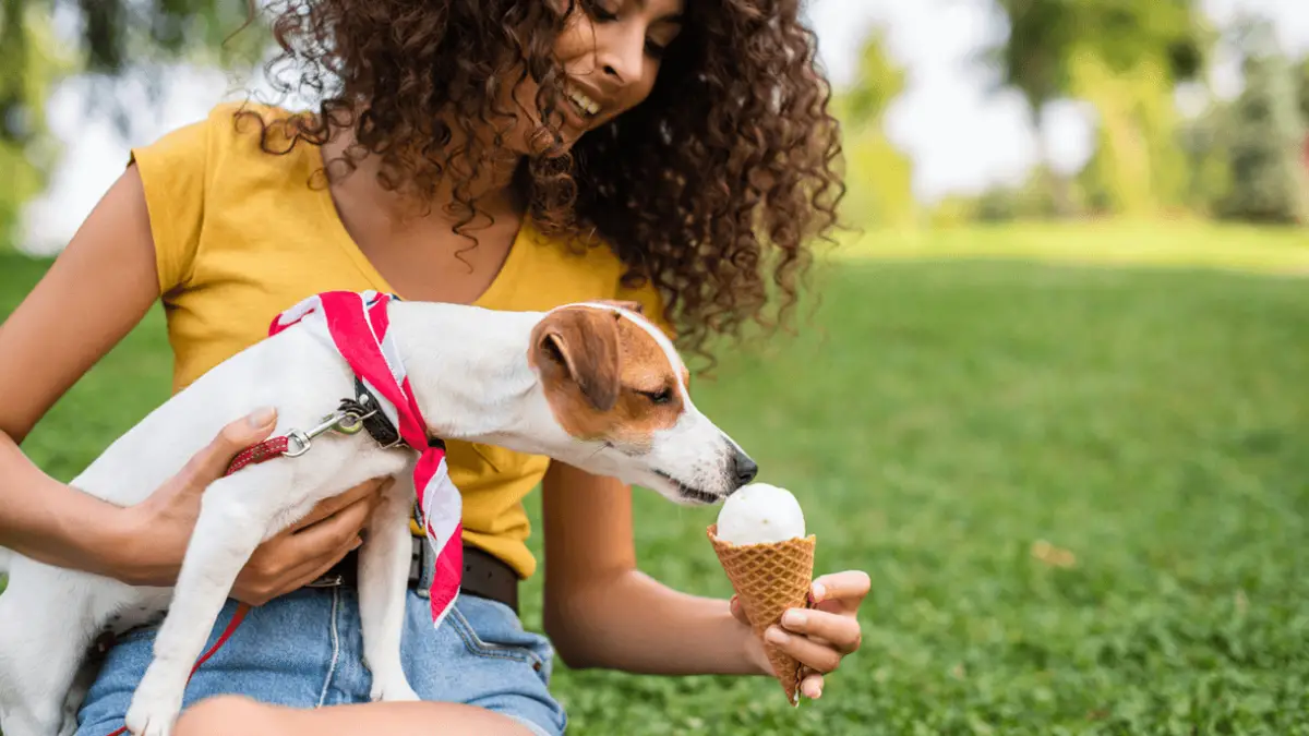 Is Ice Cream Bad for Your Dog?