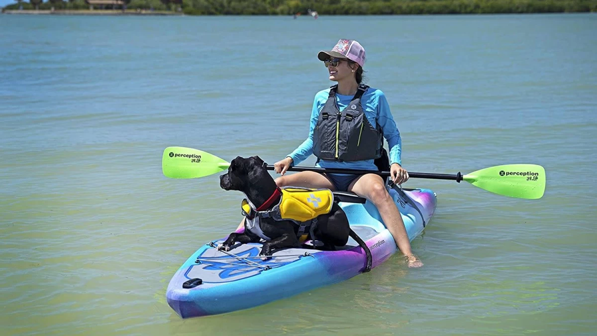 5 Best Kayaks for Dogs & How to Pick One