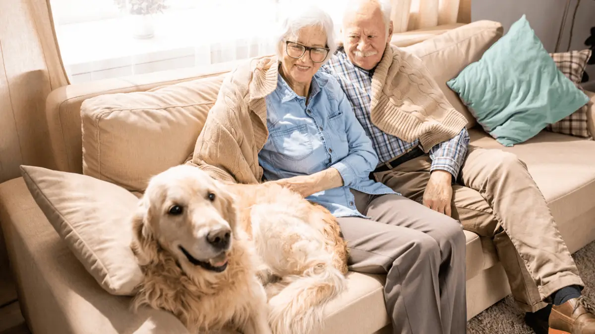 The 7 Dog Breeds Perfect for Elderly Dog Owners