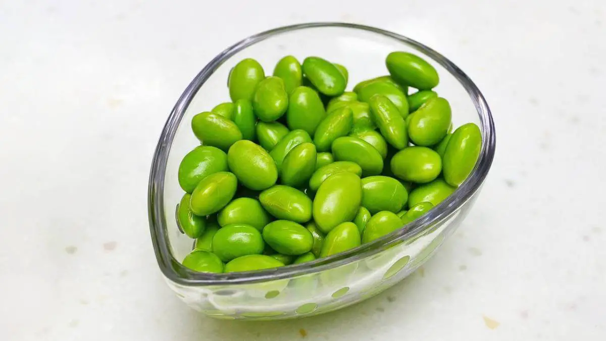 Can Dogs Eat Edamame? Will Edamame Help Your Dog?