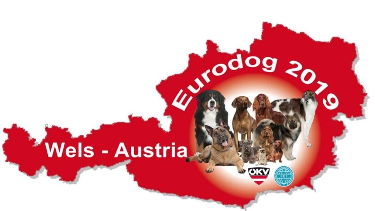 Europska izložba pasa