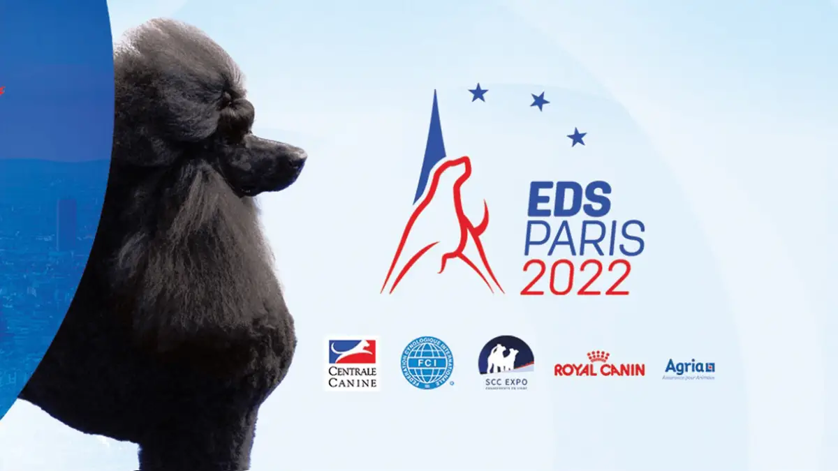 Exposition canine européenne 2022 - Tout ce que vous devez savoir