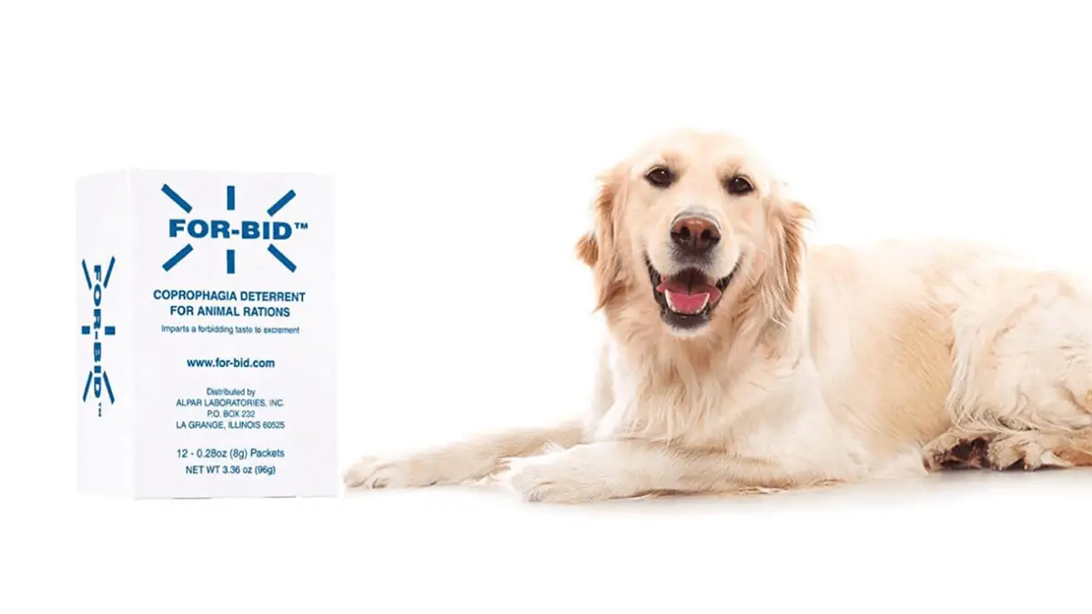 For-Bid For Dogs - Usage & Effectiveness