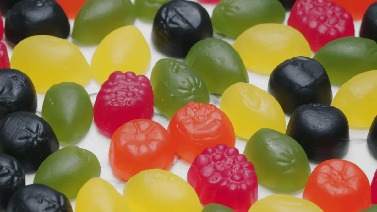 Should You Share Fruit Snacks With Your Dog?