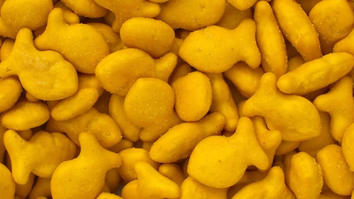 Can You Share Goldfish Crackers With Your Dog