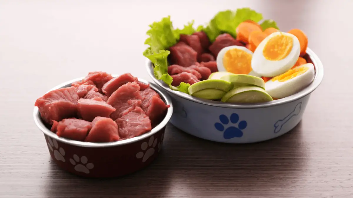 Recetas de comida para perros: comida casera para perros aprobada por veterinarios
