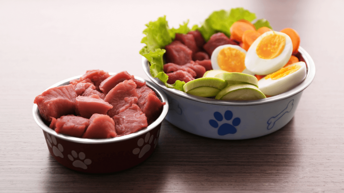 Homemade raw dog outlet food recipes vet approved