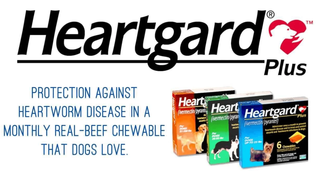Is Heartgard for Dogs Safe