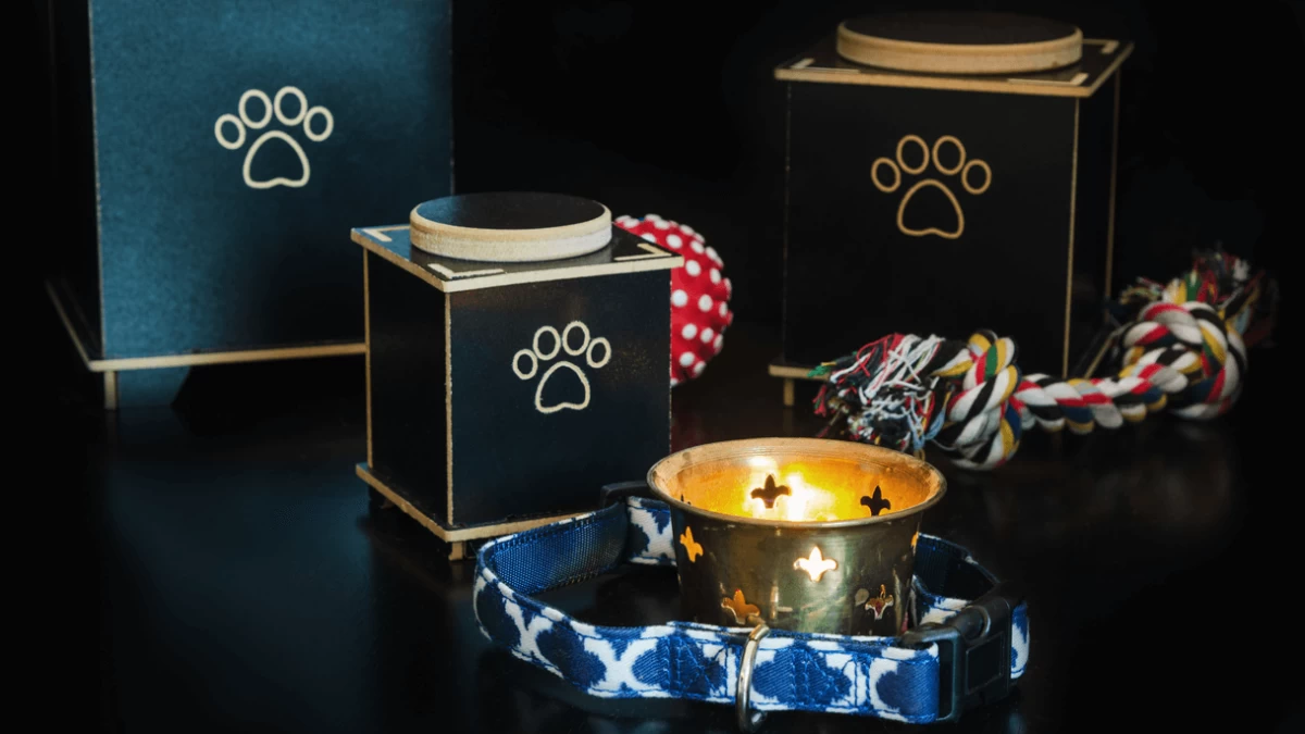 Best Pet Urns for Commemorating Your Dog