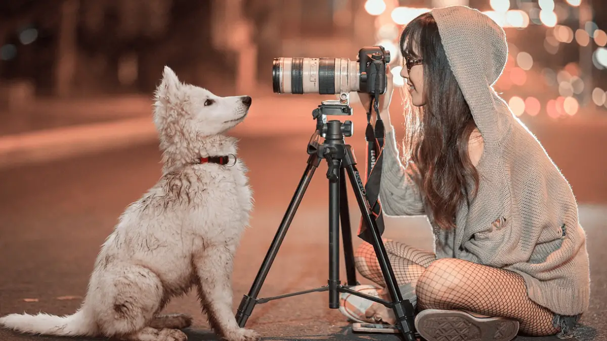 Best Dog Cameras in 2023