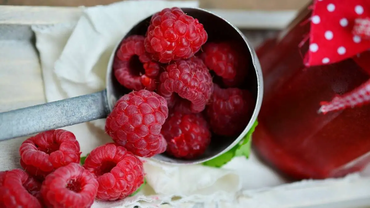 Can Dogs Eat Raspberries - Here Are Some Risks to Avoid
