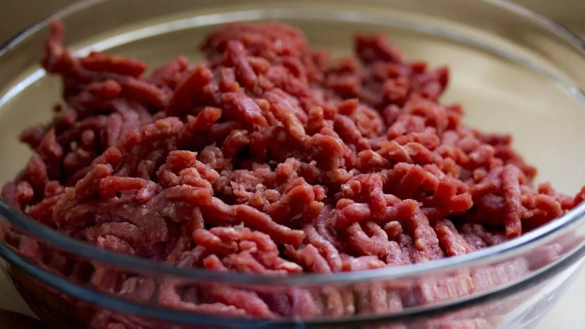 ¿Pueden los perros comer carne cruda?