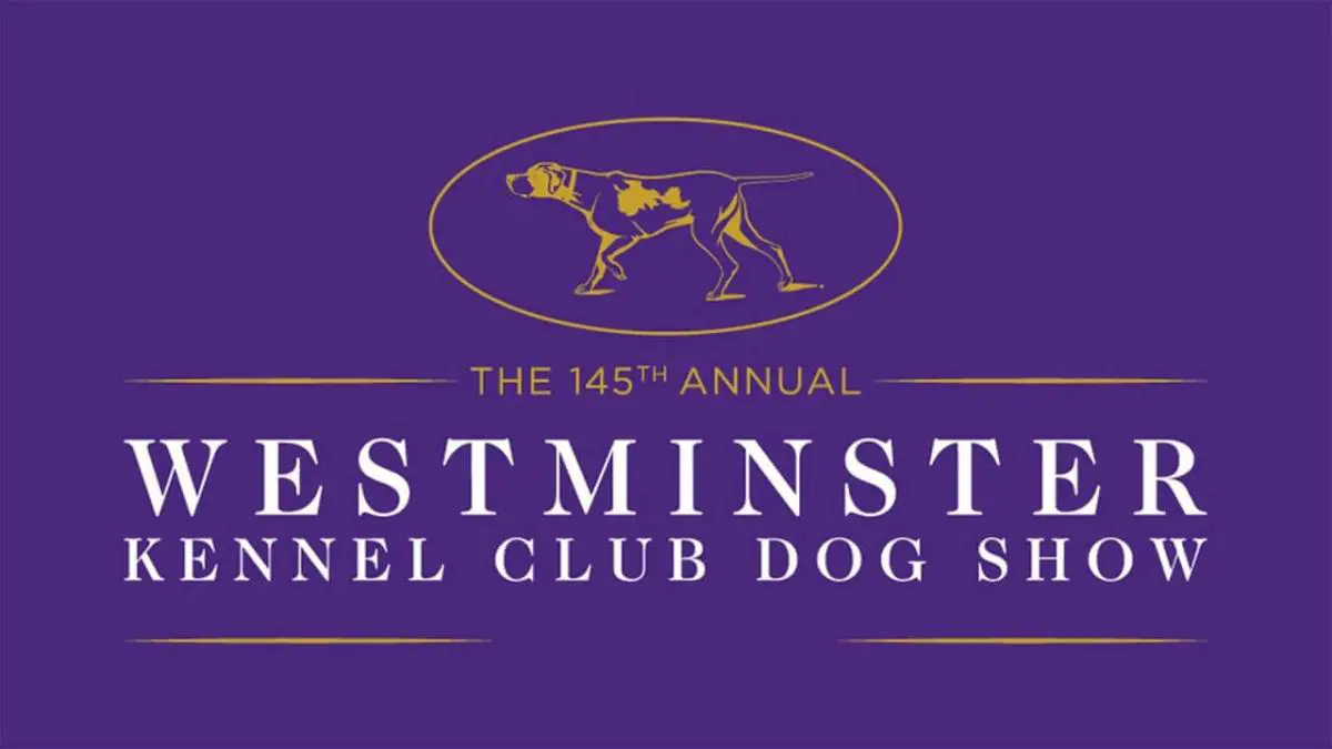 Westminster Kennel Club Dog Show - Why is it so Special