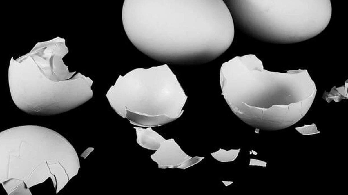 Can Dogs Eat Eggshells? Is It Safe For Them?