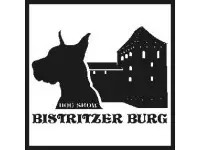 Bistritzer Burg