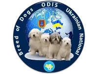 Odis Club