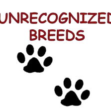 Unrecognized breeds