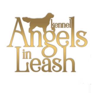 Angels In Leash