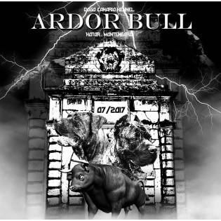 Ardor bull