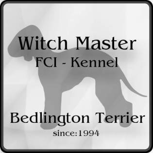 Witch Master FCI