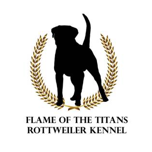 Flame of the Titans rottweiler kennel