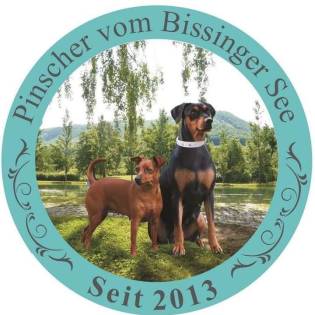 Vom Bissinger See (F.C.I.)